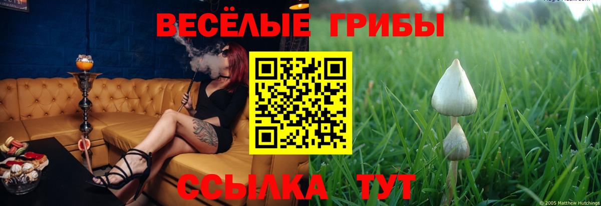 Псилоцибиновые грибы Psilocybine cubensis  Вход с VPN  Саратов 